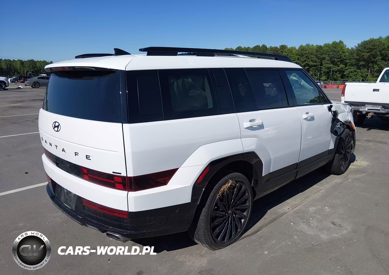 2025 Hyundai Santa Fe Calligraphy VIN:5NMP5DGL7SH083646 - 4