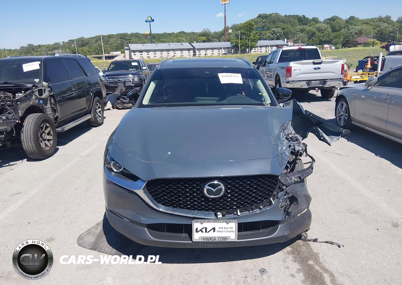 2023 Mazda Cx-30 2.5 S Carbon Edition VIN:3MVDMBCM3PM533112 - 12