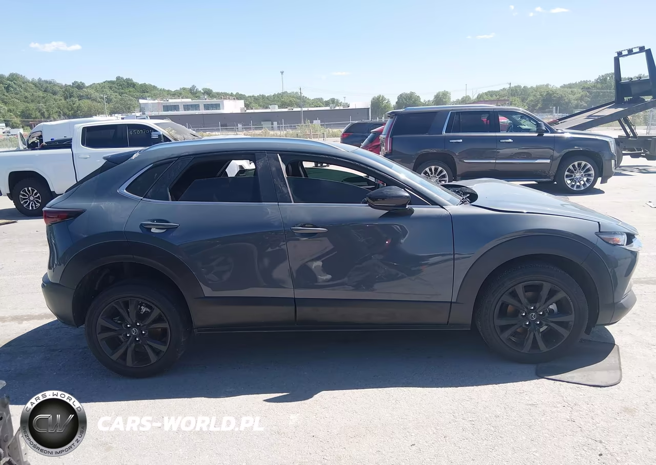 2023 Mazda Cx-30 2.5 S Carbon Edition VIN:3MVDMBCM3PM533112 - 13
