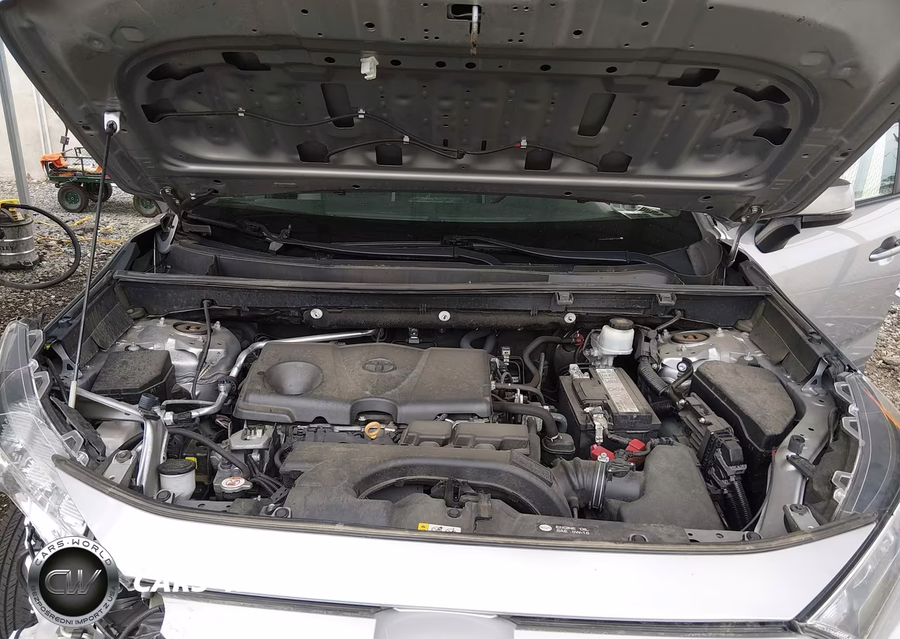 2019 Toyota Rav4 Xle VIN:2T3P1RFV3KW072439 - 10