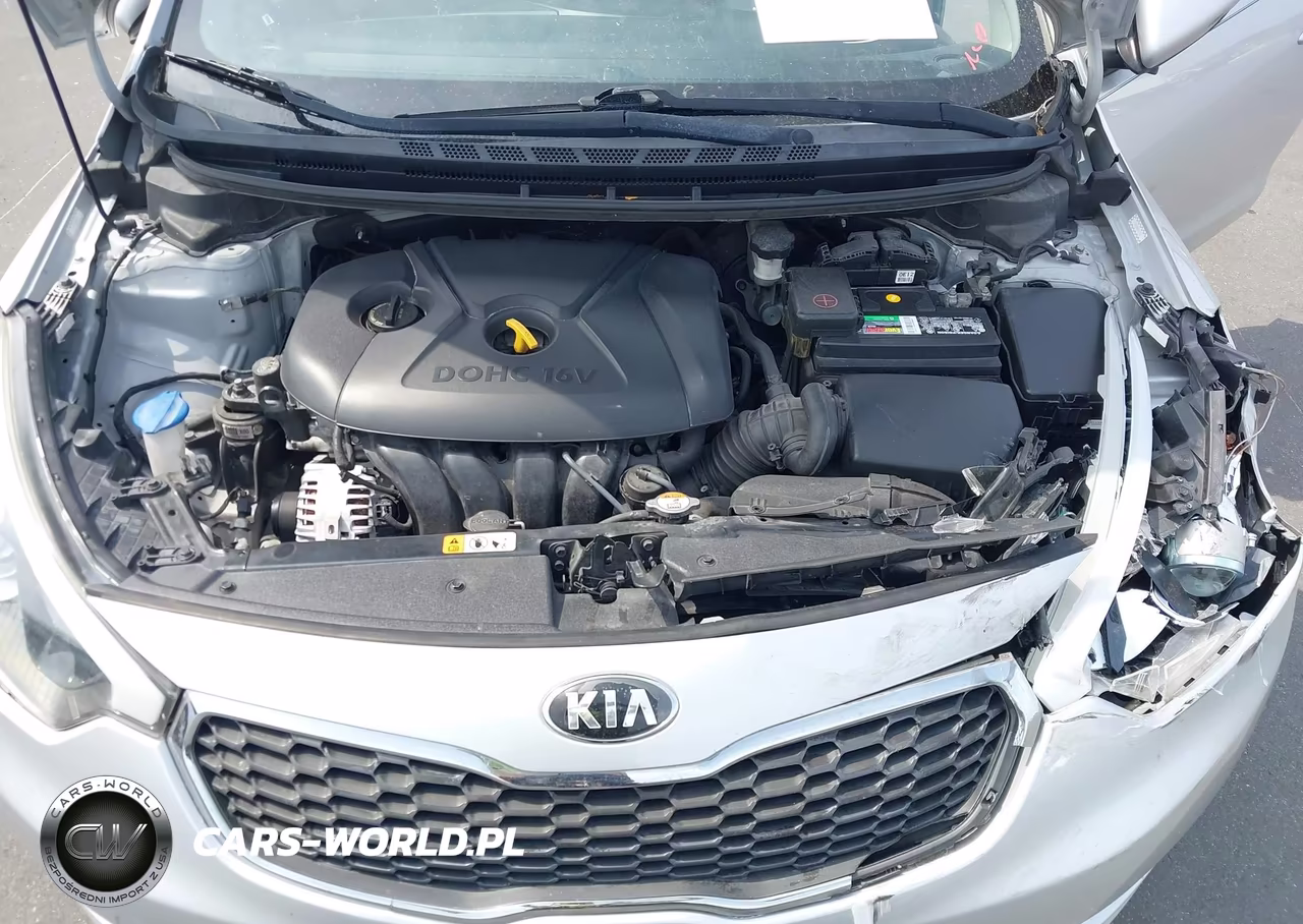 2016 Kia Forte Lx VIN:KNAFX4A66G5612567 - 10