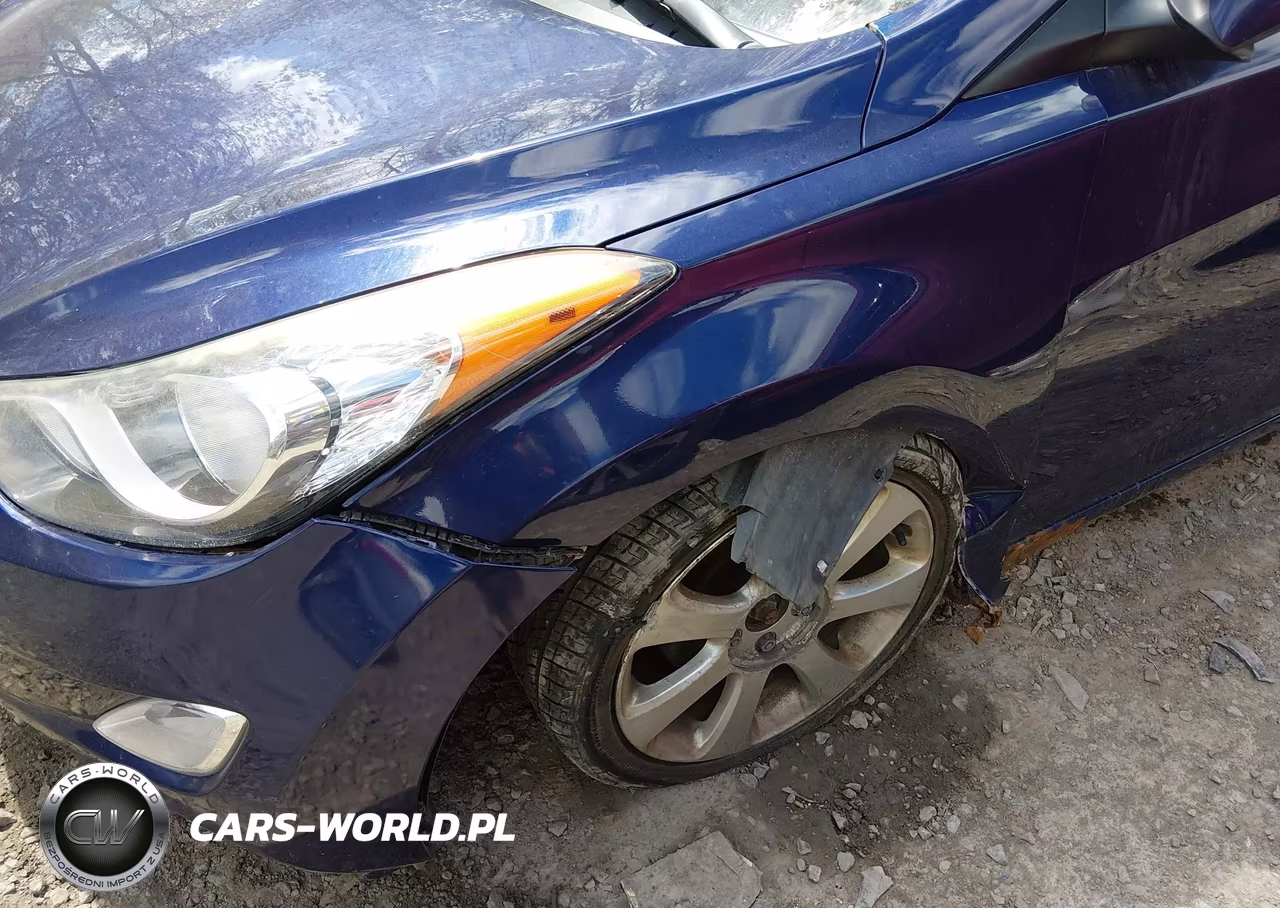 2011 Hyundai Elantra Limited VIN:5NPDH4AE8BH019655 - 12