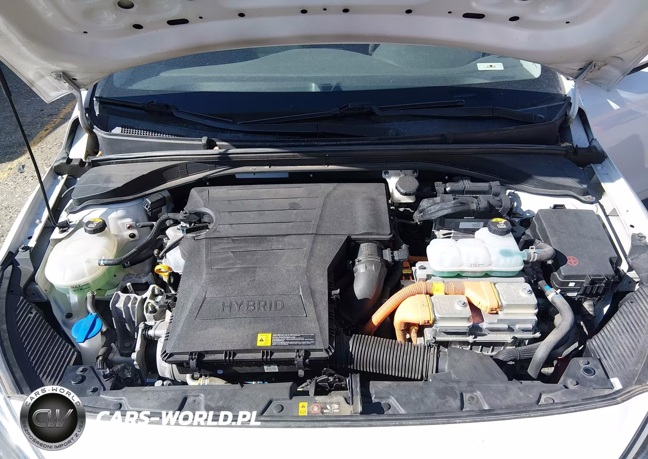 2019 Hyundai Ioniq Hybrid Blue VIN:KMHC65LC0KU114392 - 10