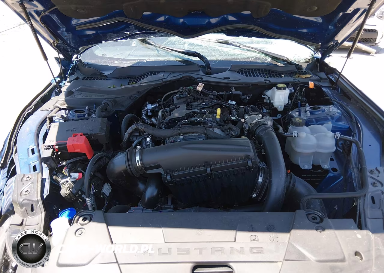 2024 Ford Mustang Ecoboost Fastback VIN:1FA6P8THXR5146837 - 10
