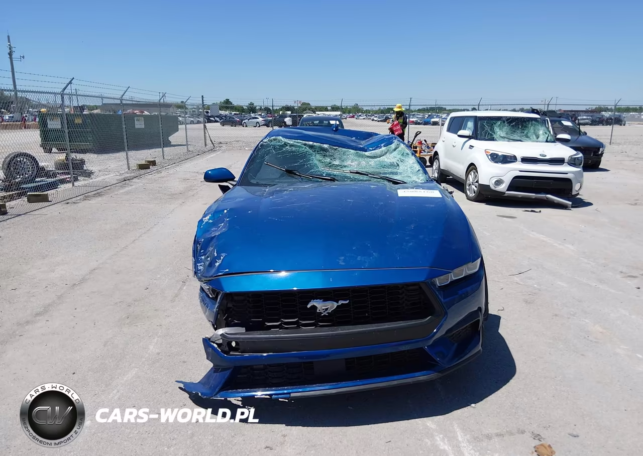 2024 Ford Mustang Ecoboost Fastback VIN:1FA6P8THXR5146837 - 13