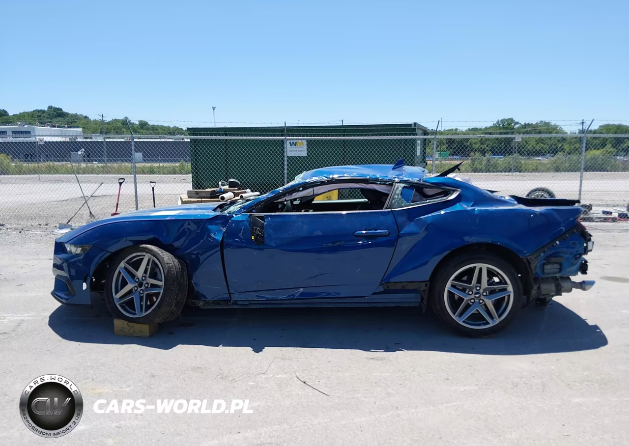 2024 Ford Mustang Ecoboost Fastback VIN:1FA6P8THXR5146837 - 15