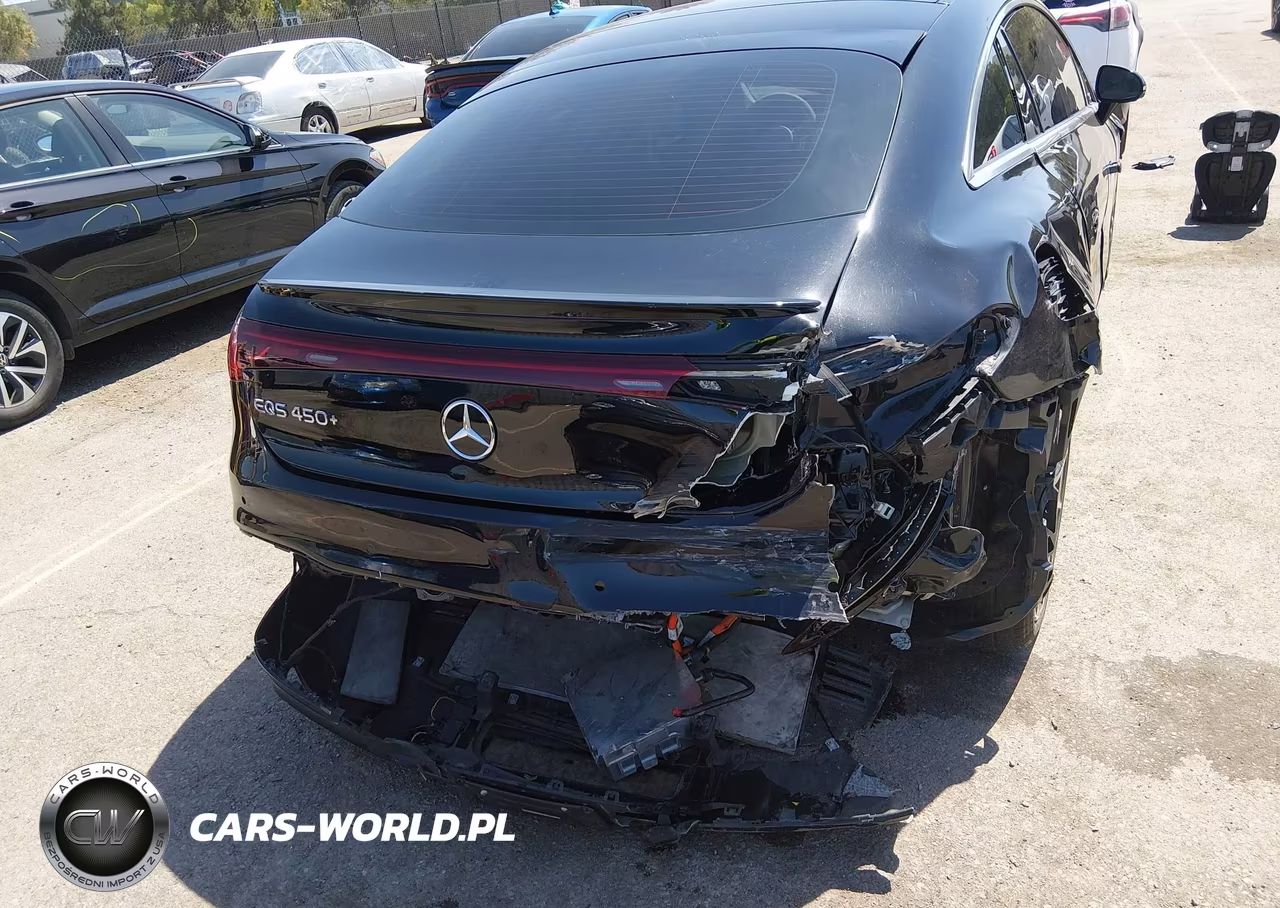 2023 Mercedes-Benz Eqs 450+ VIN:W1KCG2DB4PA032394 - 6