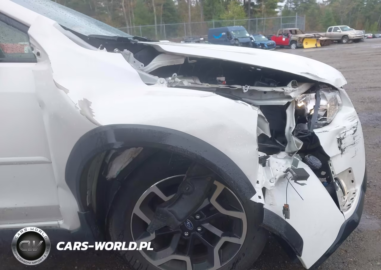 2016 Subaru Crosstrek 2.0I Limited VIN:JF2GPANC1G8204564 - 17