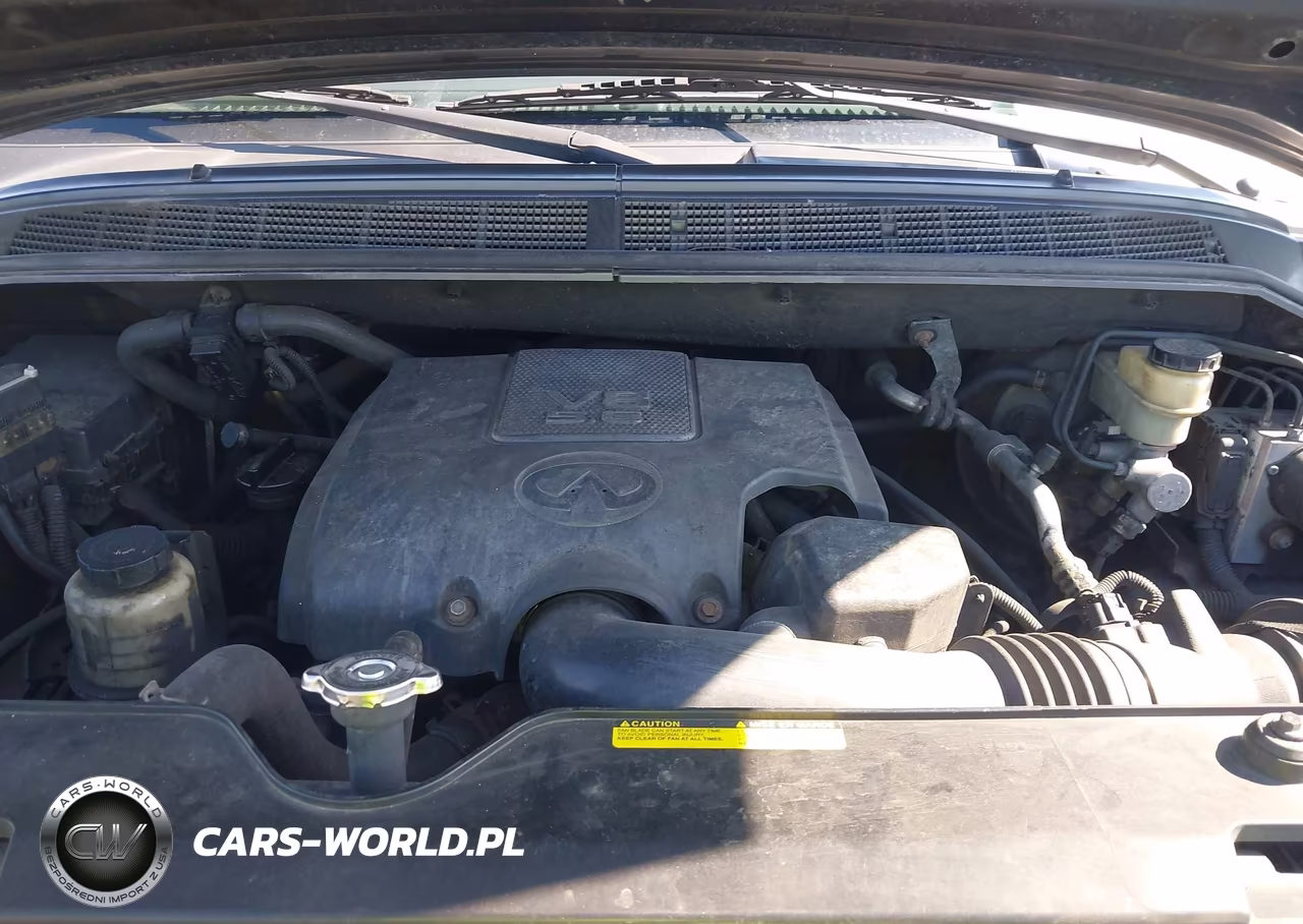 2008 Infiniti Qx56 VIN:5N3AA08C18N905140 - 10