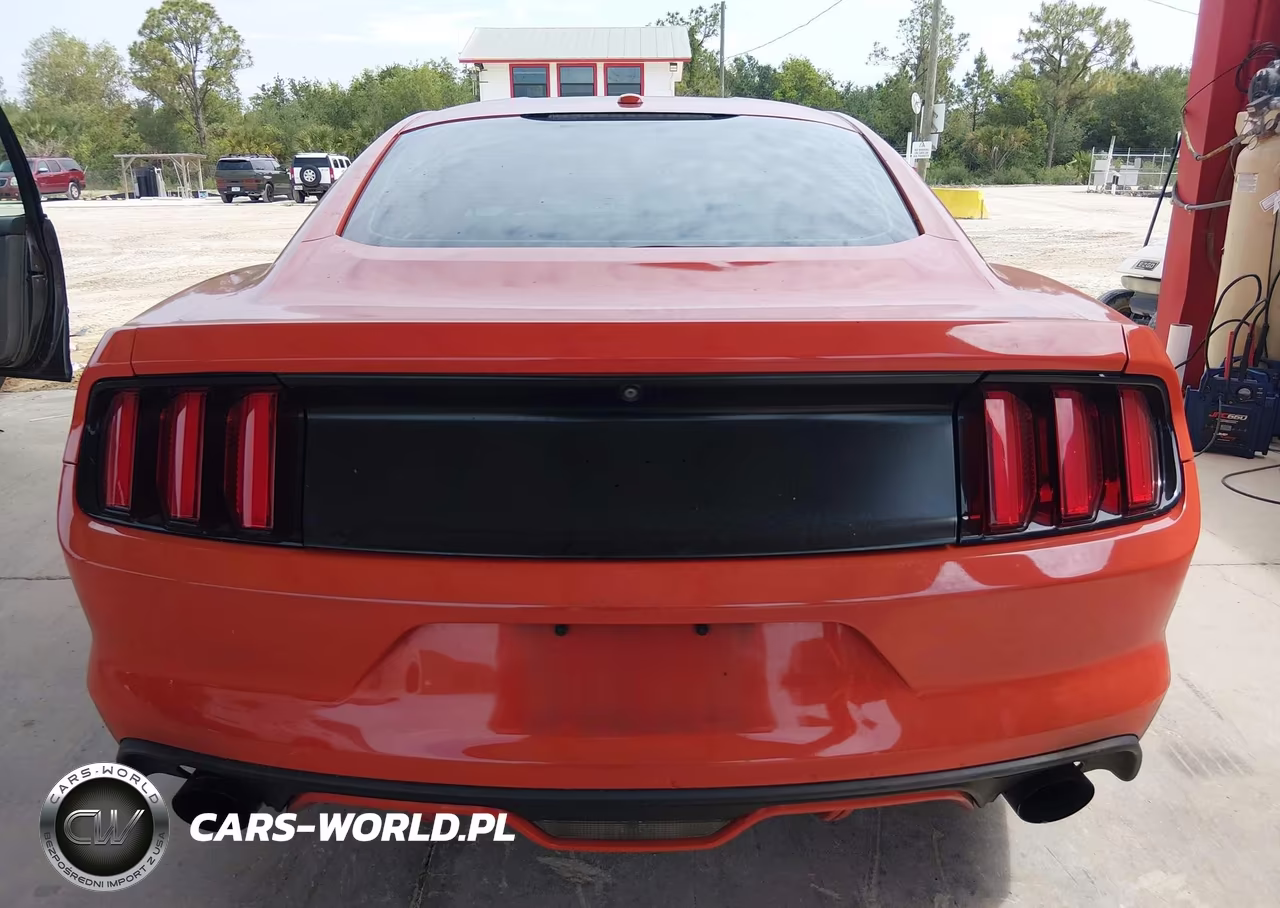 2016 Ford Mustang Ecoboost VIN:1FA6P8TH3G5207961 - 16