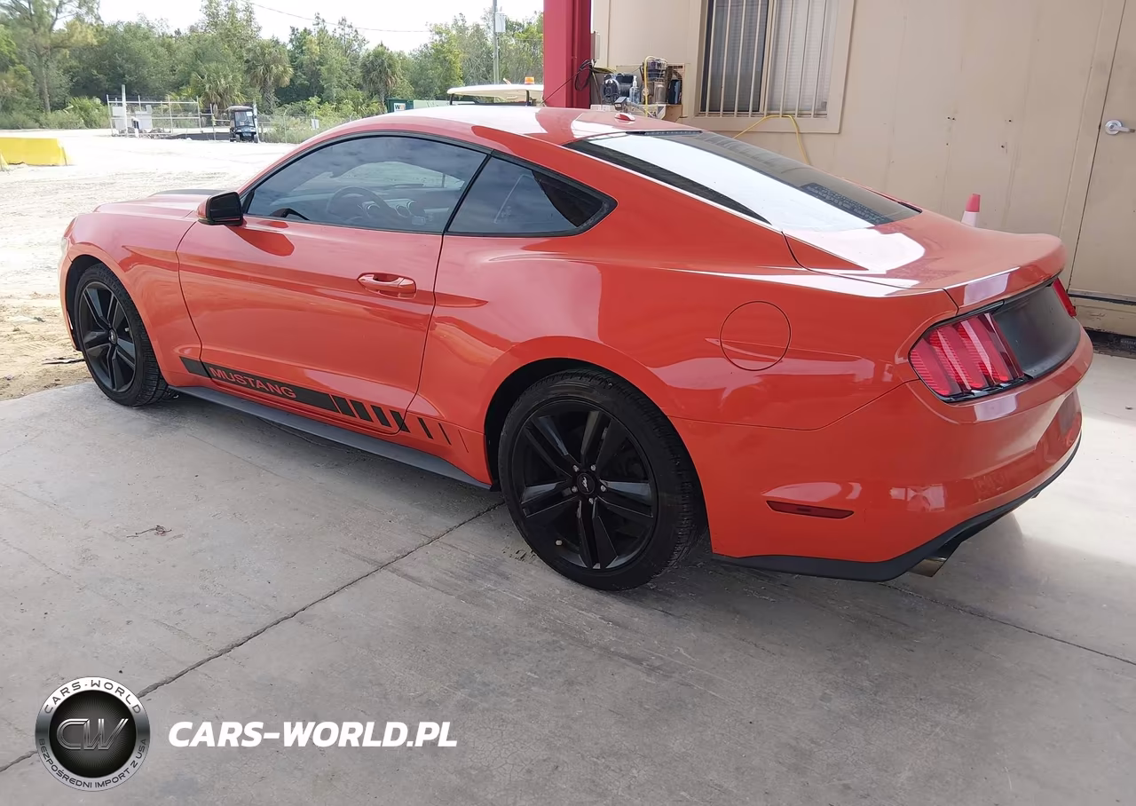 2016 Ford Mustang Ecoboost VIN:1FA6P8TH3G5207961 - 3
