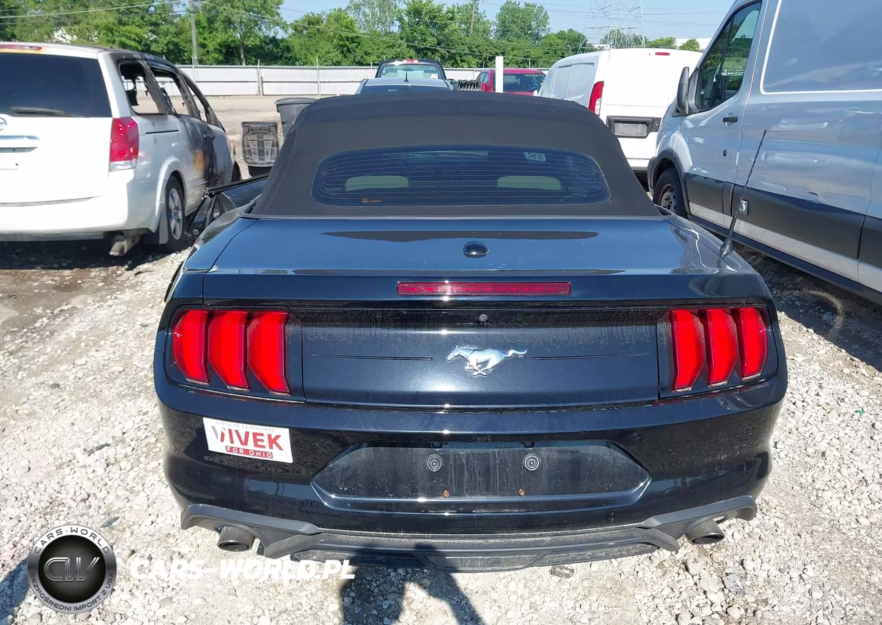 2020 Ford Mustang Ecoboost VIN:1FATP8UH2L5153354 - 16