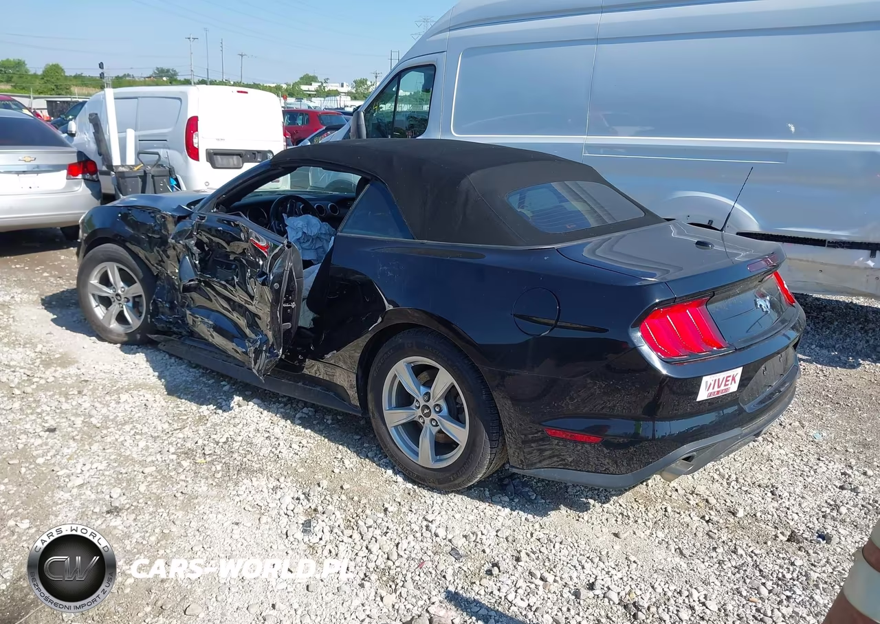 2020 Ford Mustang Ecoboost VIN:1FATP8UH2L5153354 - 3