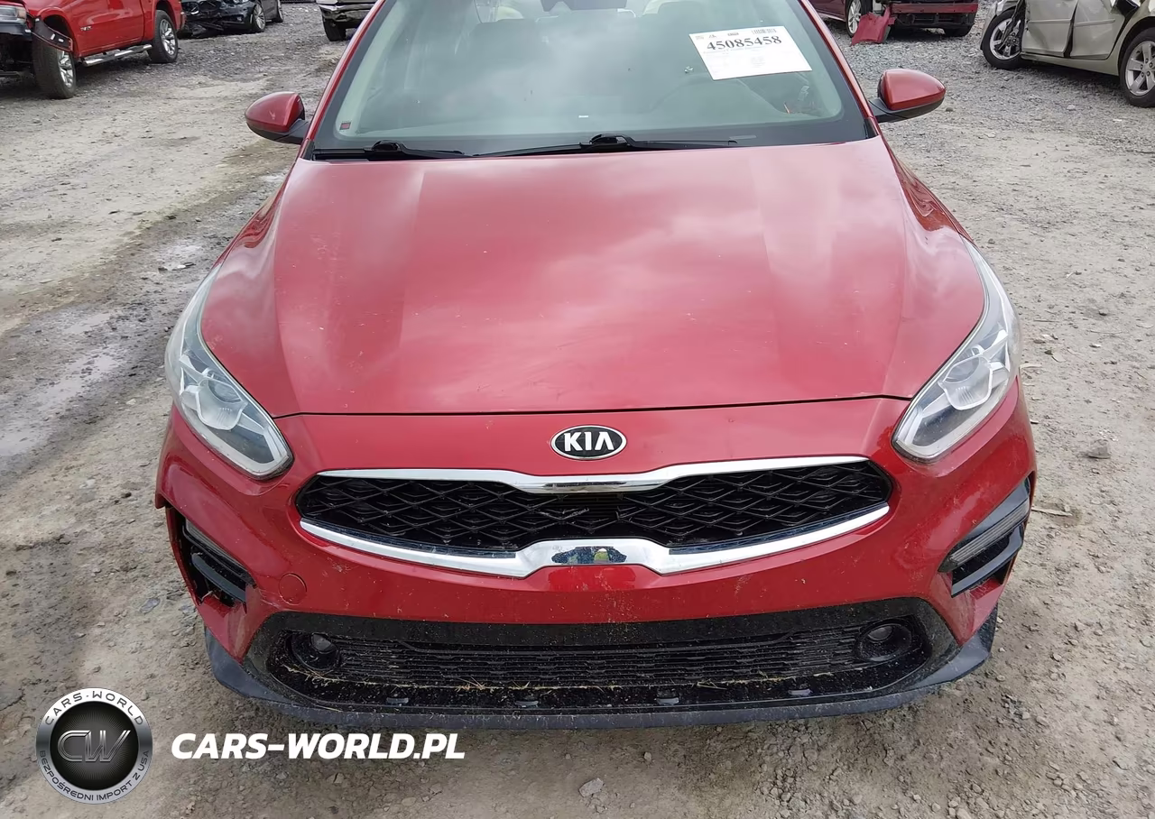 2019 Kia Forte S VIN:3KPF34AD2KE043811 - 13