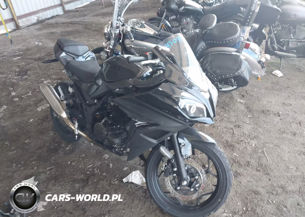 2024 Vitacci Xmt 250