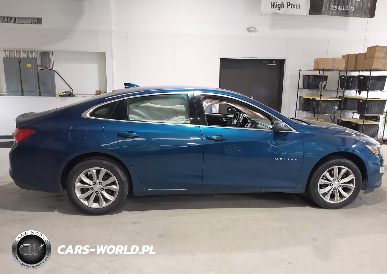 2019 Chevrolet Malibu Lt VIN:1G1ZD5ST5KF123673 - 13