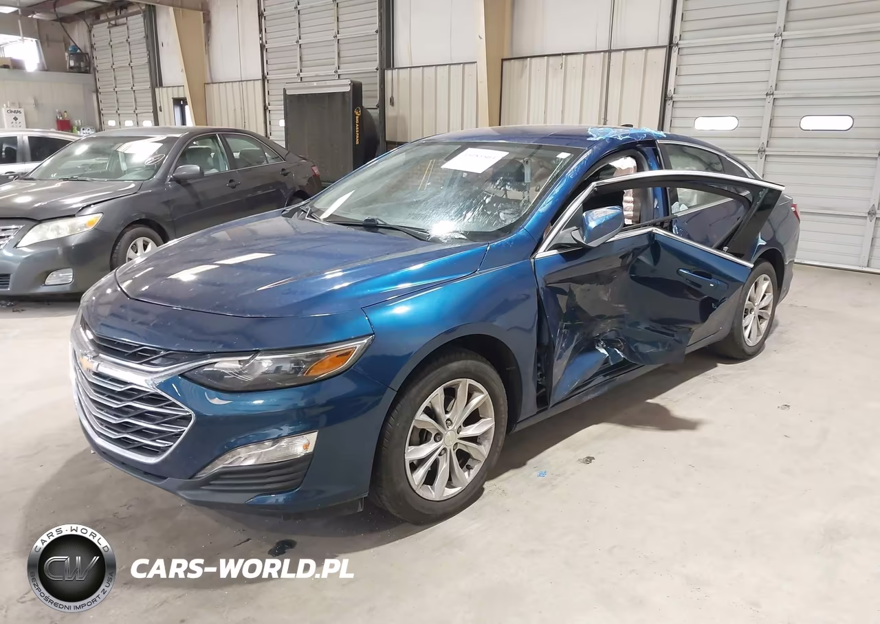 2019 Chevrolet Malibu Lt VIN:1G1ZD5ST5KF123673 - 2