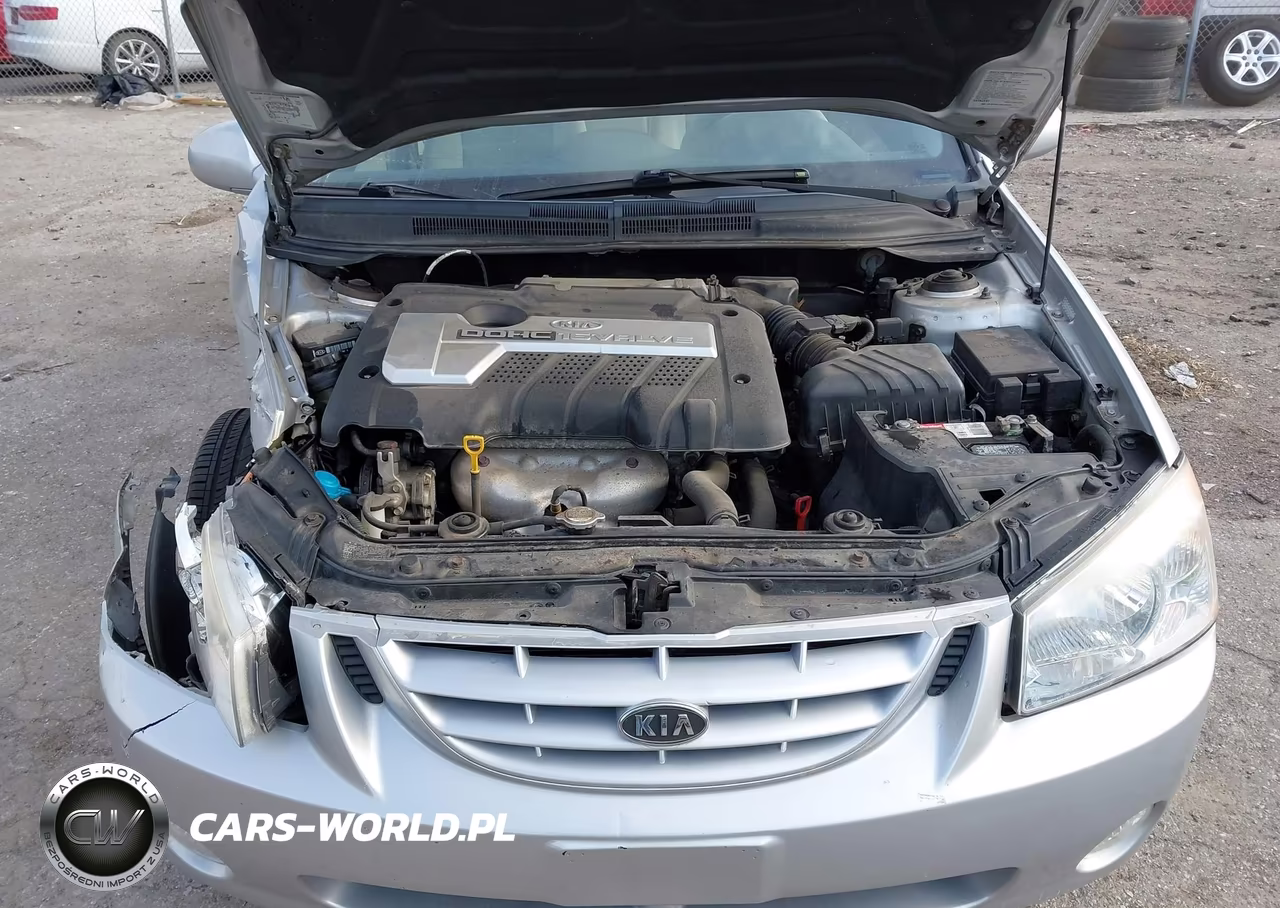 2005 Kia Spectra Ex-Lx-Sx VIN:KNAFE121955105649 - 10