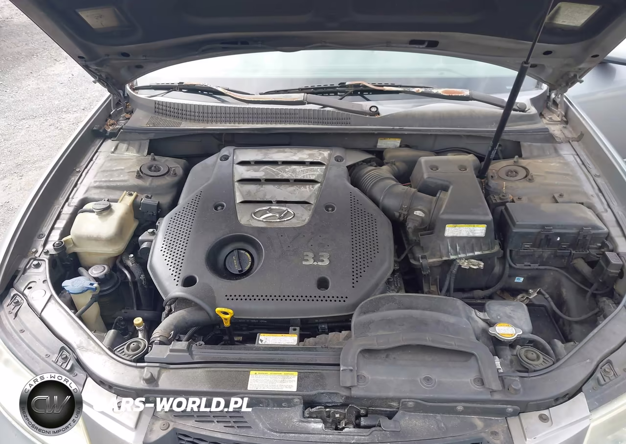 2006 Hyundai Sonata Gls V6-Lx V6 VIN:5NPEU46F76H051472 - 10