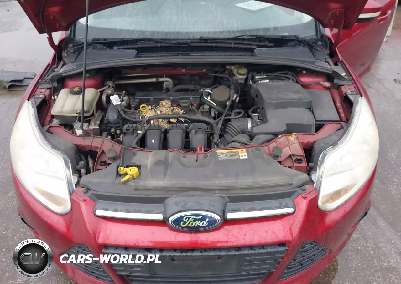 2014 Ford Focus Se VIN:1FADP3K28EL147160 - 10