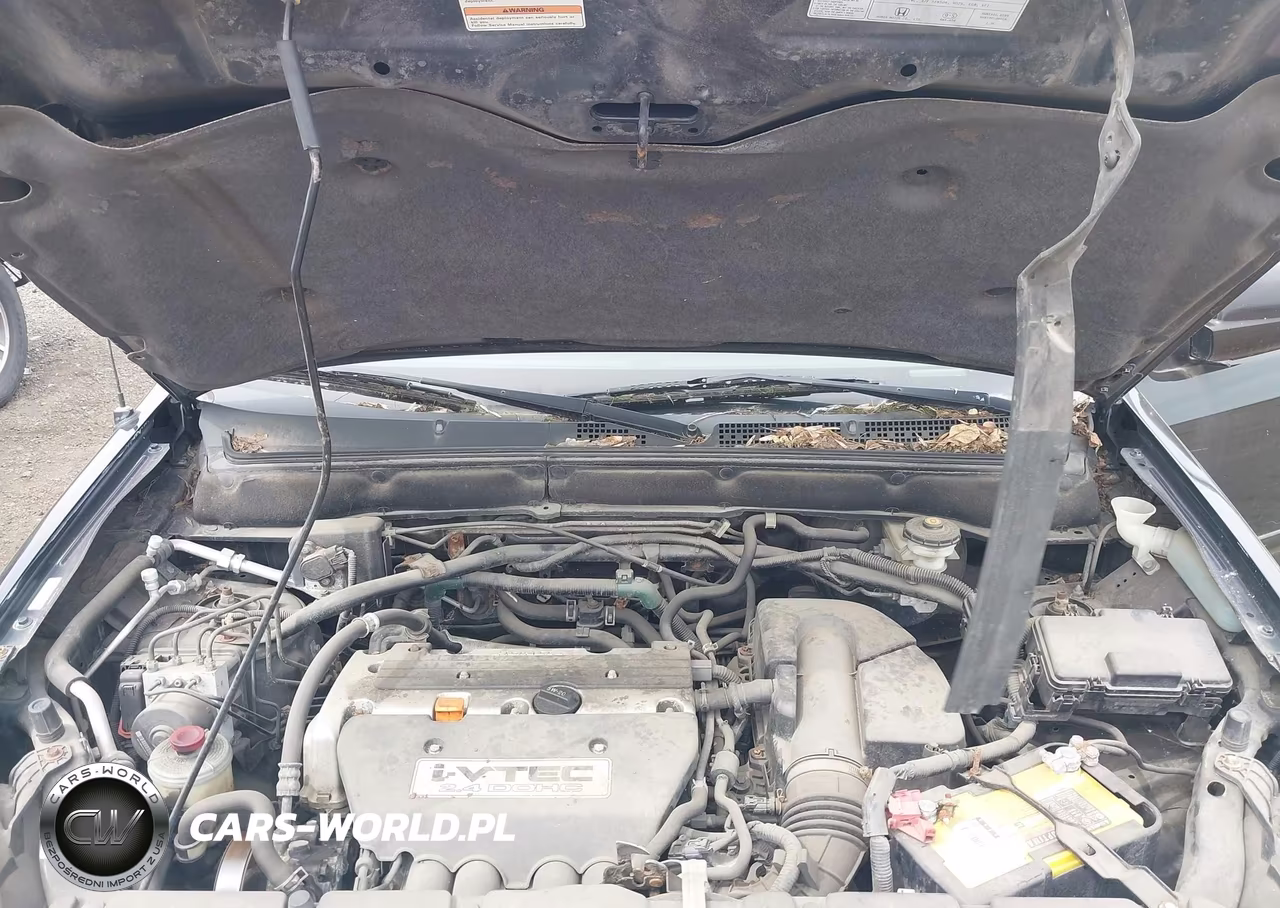 2005 Honda Cr-V Se VIN:JHLRD78945C001992 - 10