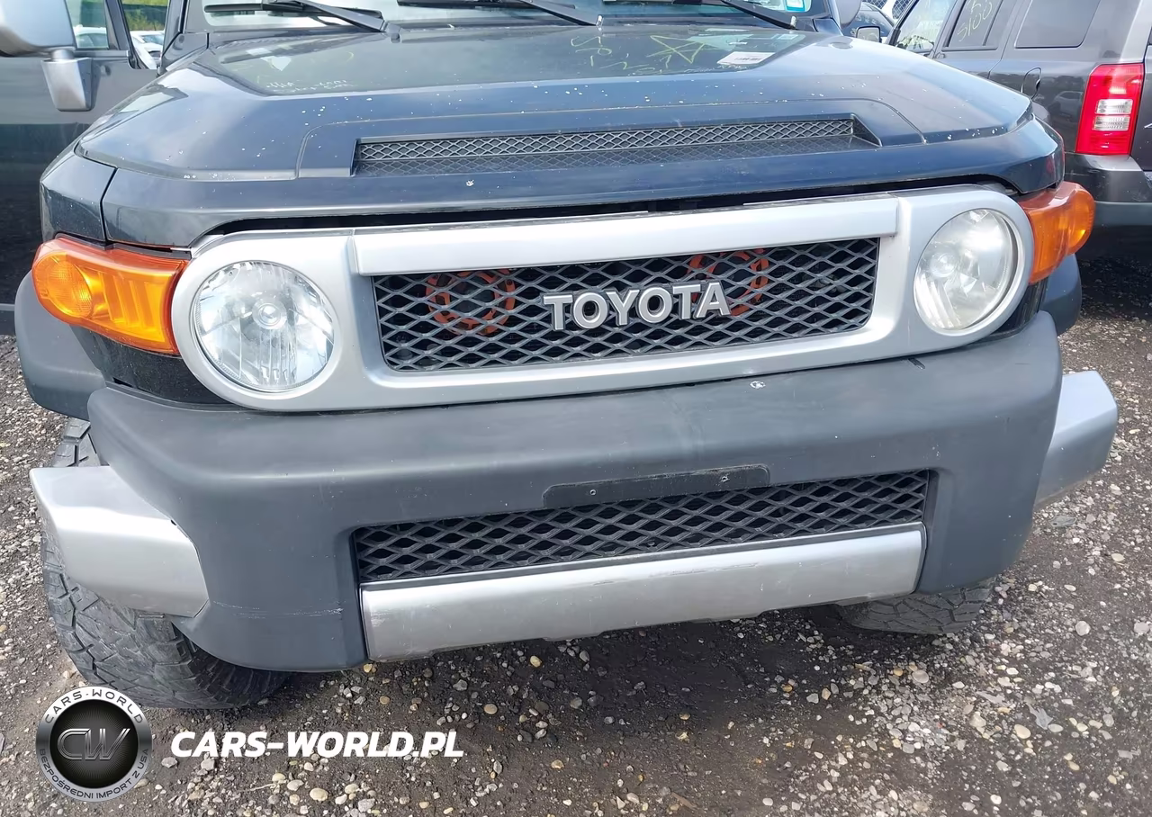 2007 Toyota Fj Cruiser VIN:JTEBU11FX70066177 - 10