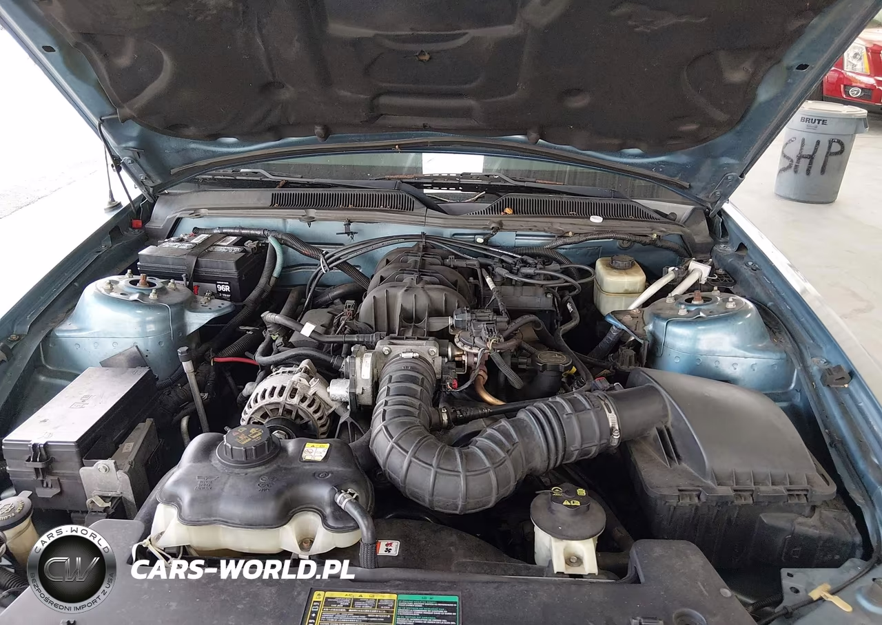 2006 Ford Mustang V6 VIN:1ZVFT84N065105118 - 10