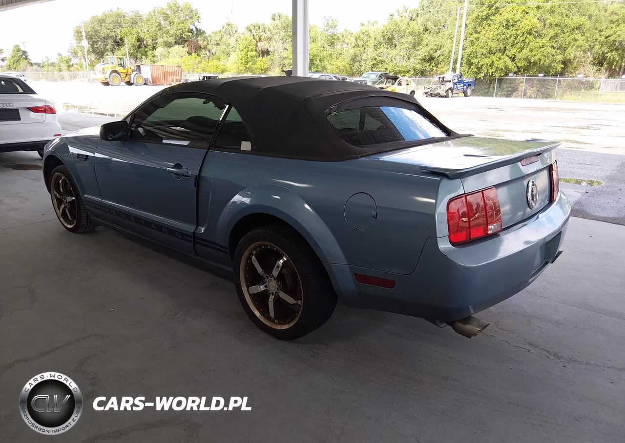 2006 Ford Mustang V6 VIN:1ZVFT84N065105118 - 3
