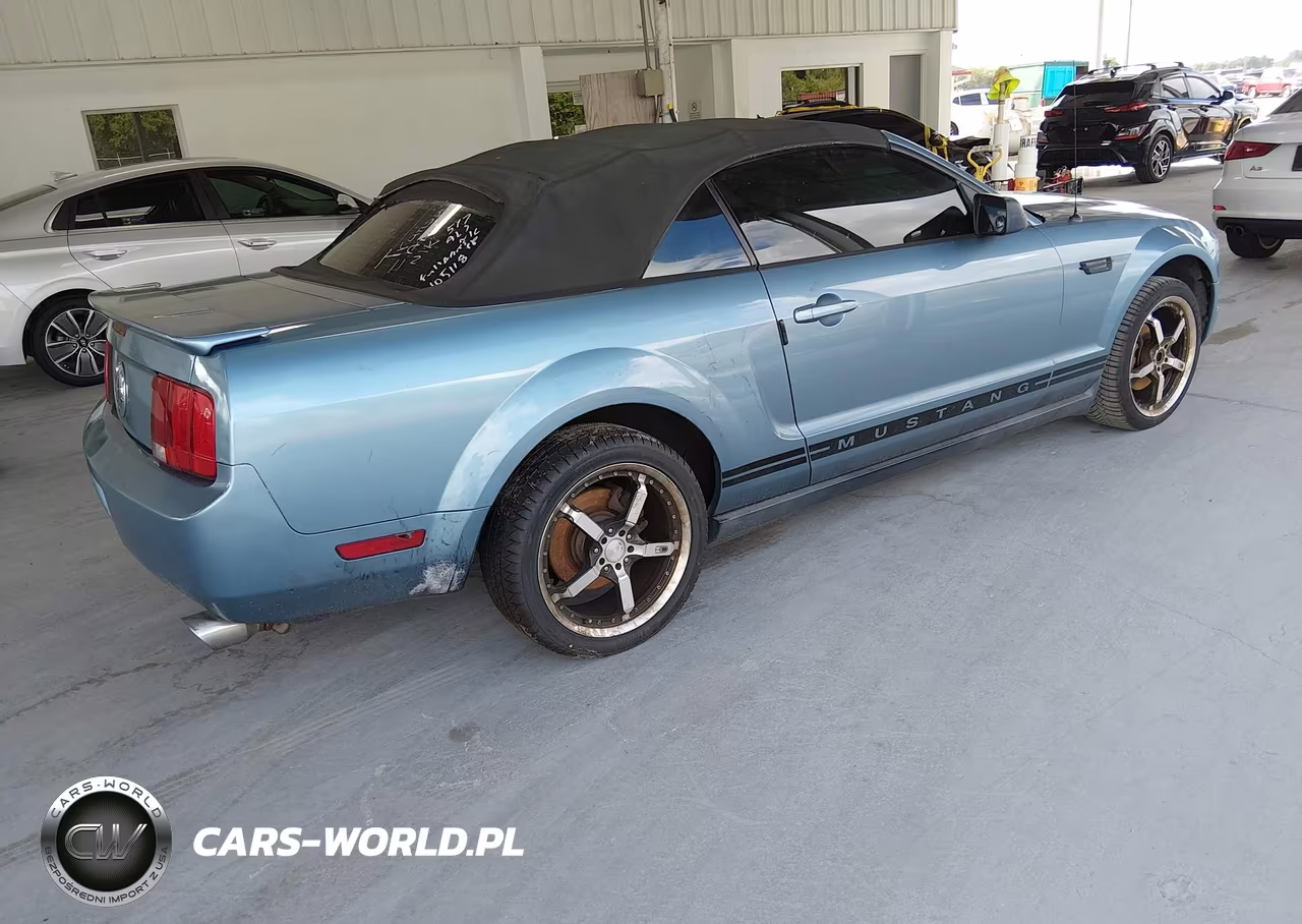 2006 Ford Mustang V6 VIN:1ZVFT84N065105118 - 4