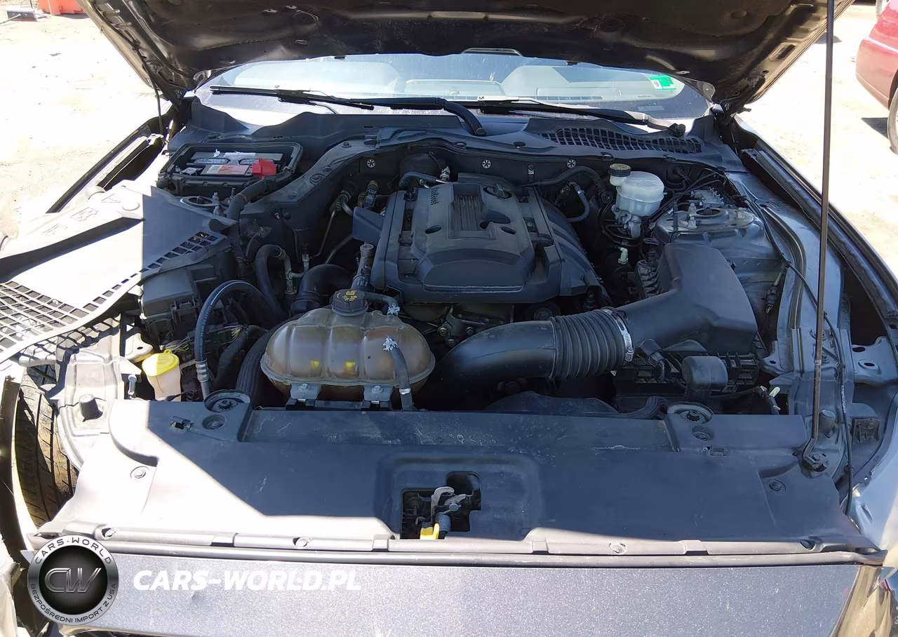 2015 Ford Mustang Ecoboost VIN:1FA6P8THXF5301513 - 10