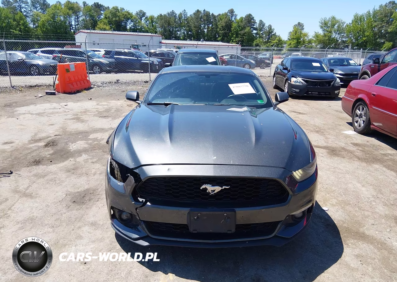 2015 Ford Mustang Ecoboost VIN:1FA6P8THXF5301513 - 12
