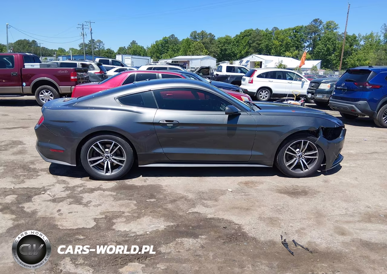 2015 Ford Mustang Ecoboost VIN:1FA6P8THXF5301513 - 13