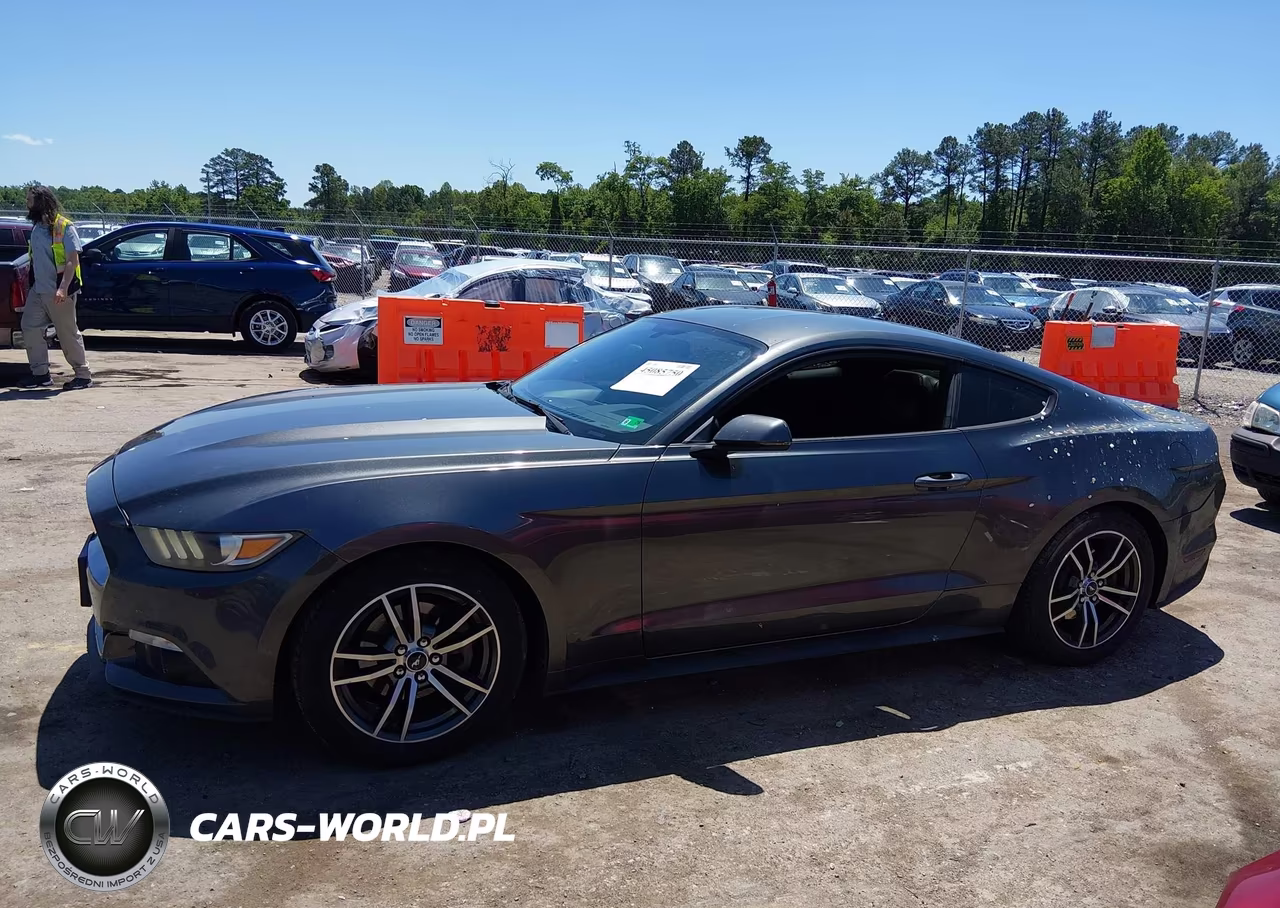 2015 Ford Mustang Ecoboost VIN:1FA6P8THXF5301513 - 14