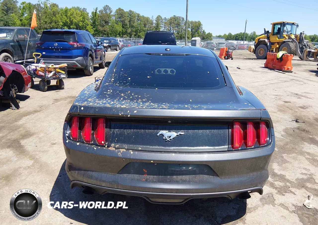 2015 Ford Mustang Ecoboost VIN:1FA6P8THXF5301513 - 16
