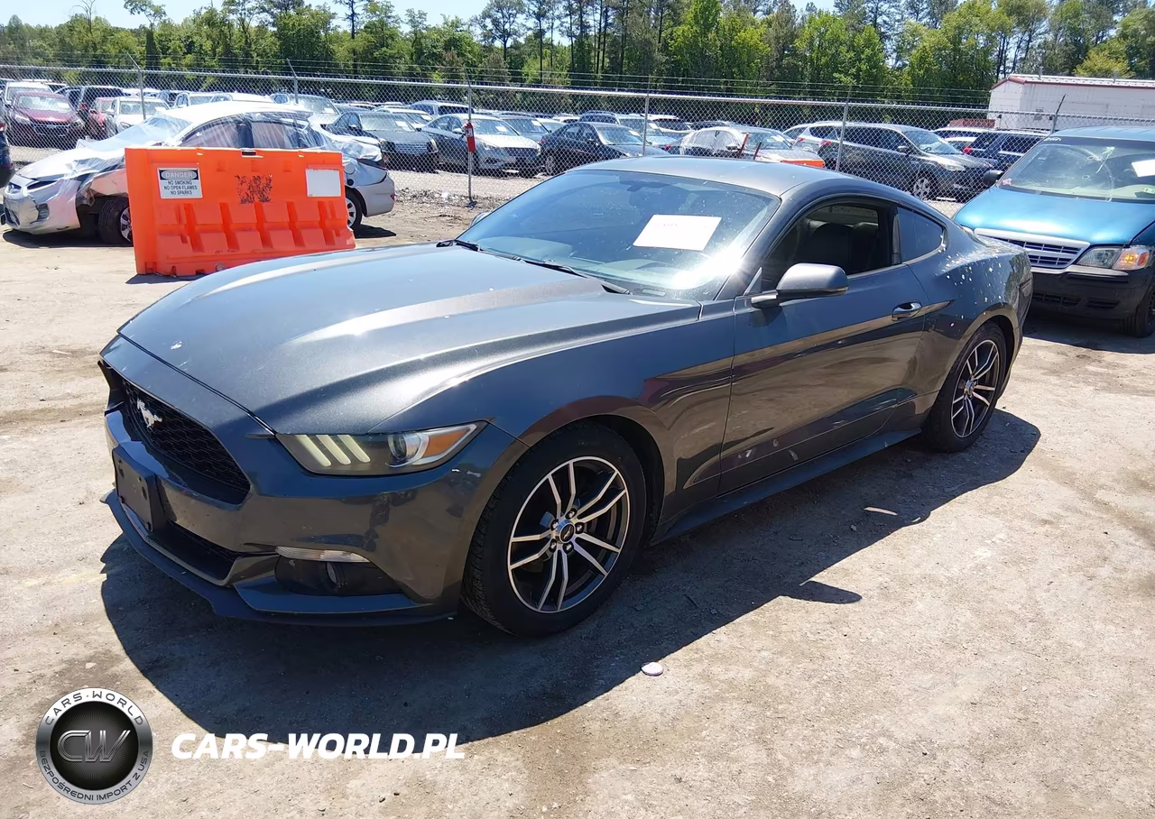2015 Ford Mustang Ecoboost VIN:1FA6P8THXF5301513 - 2