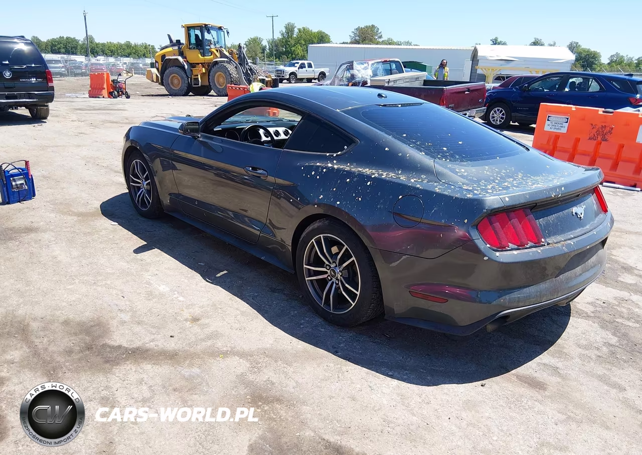2015 Ford Mustang Ecoboost VIN:1FA6P8THXF5301513 - 3