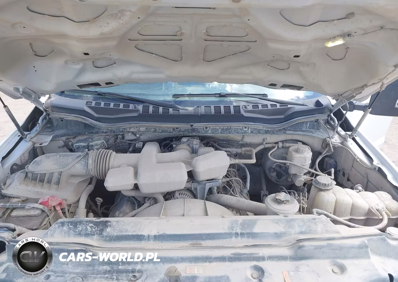 2019 Ford F-250 Xl VIN:1FT7W2B68KEF03209 - 10