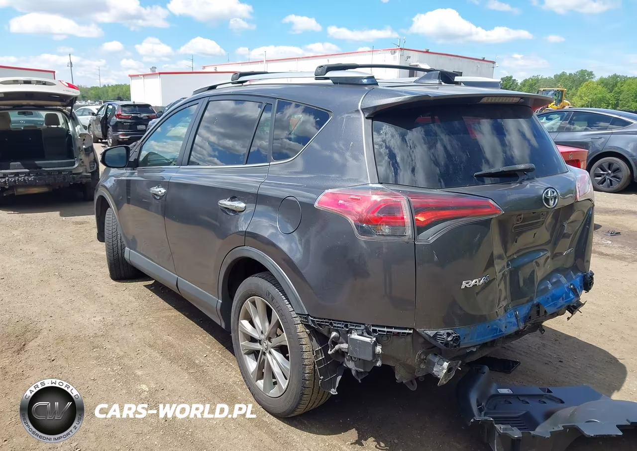 2017 Toyota Rav4 Limited VIN:JTMDFREV2HJ119005 - 3