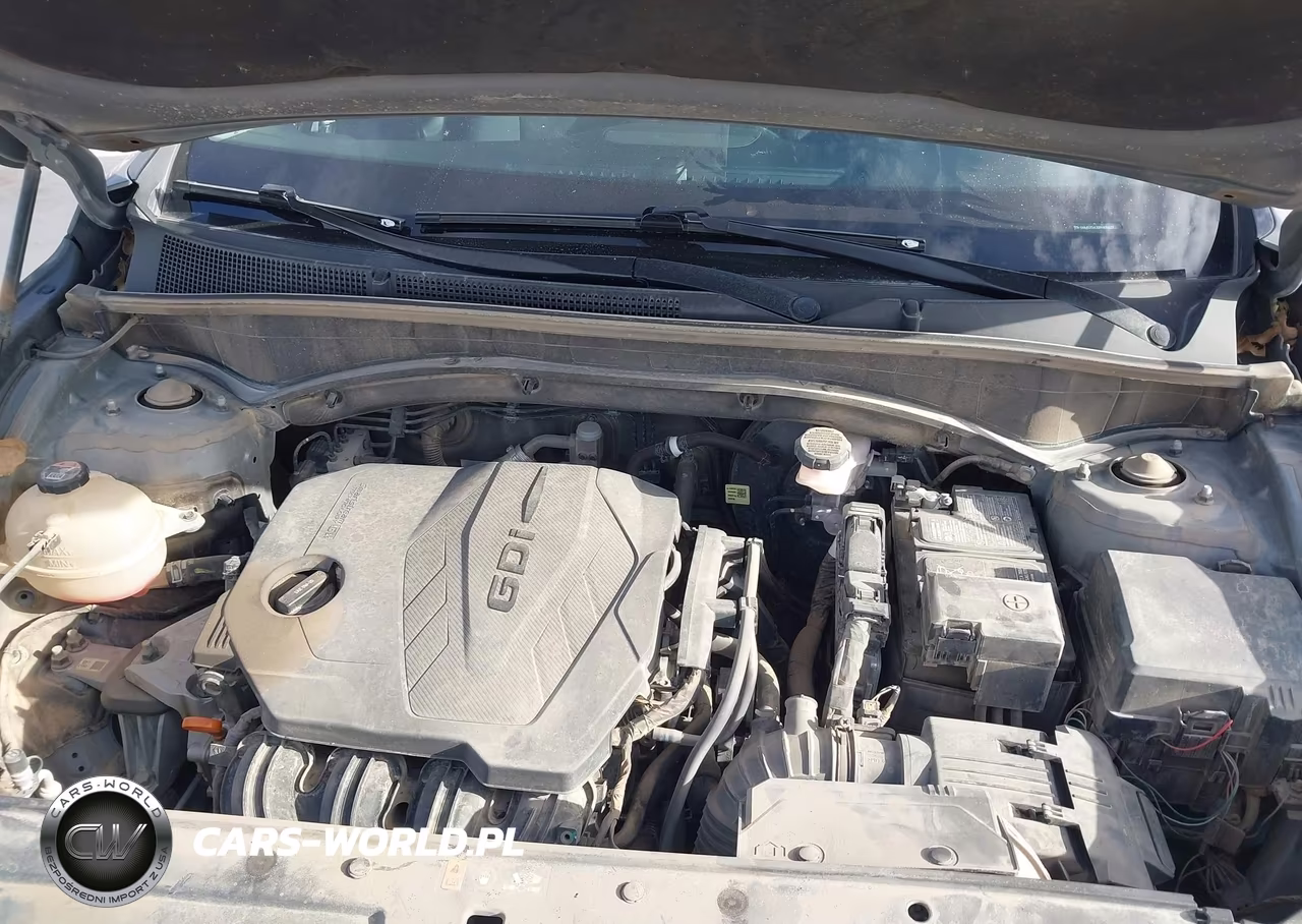 2023 Hyundai Santa Fe Sel VIN:5NMS2DAJ0PH494629 - 10