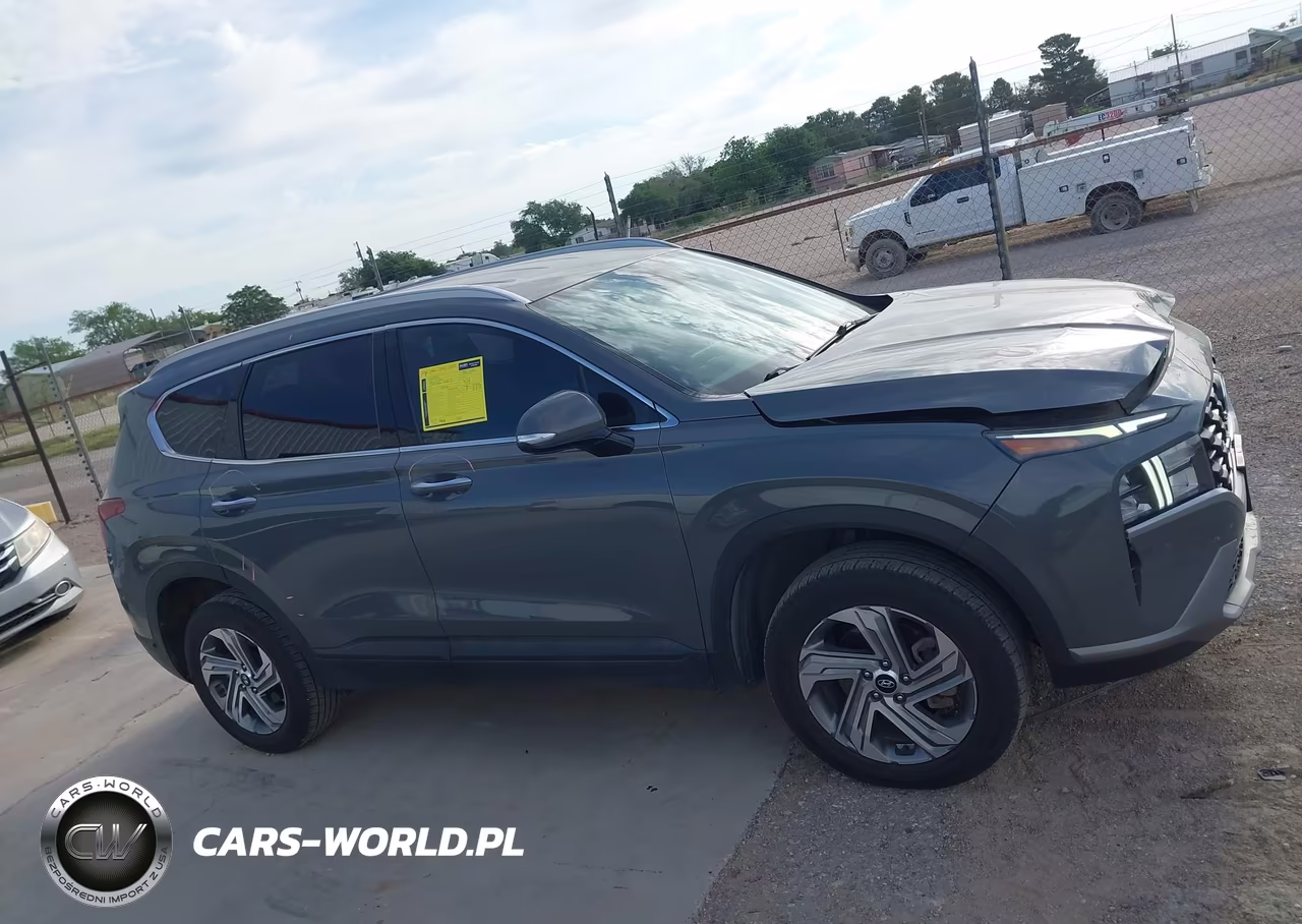2023 Hyundai Santa Fe Sel VIN:5NMS2DAJ0PH494629 - 13
