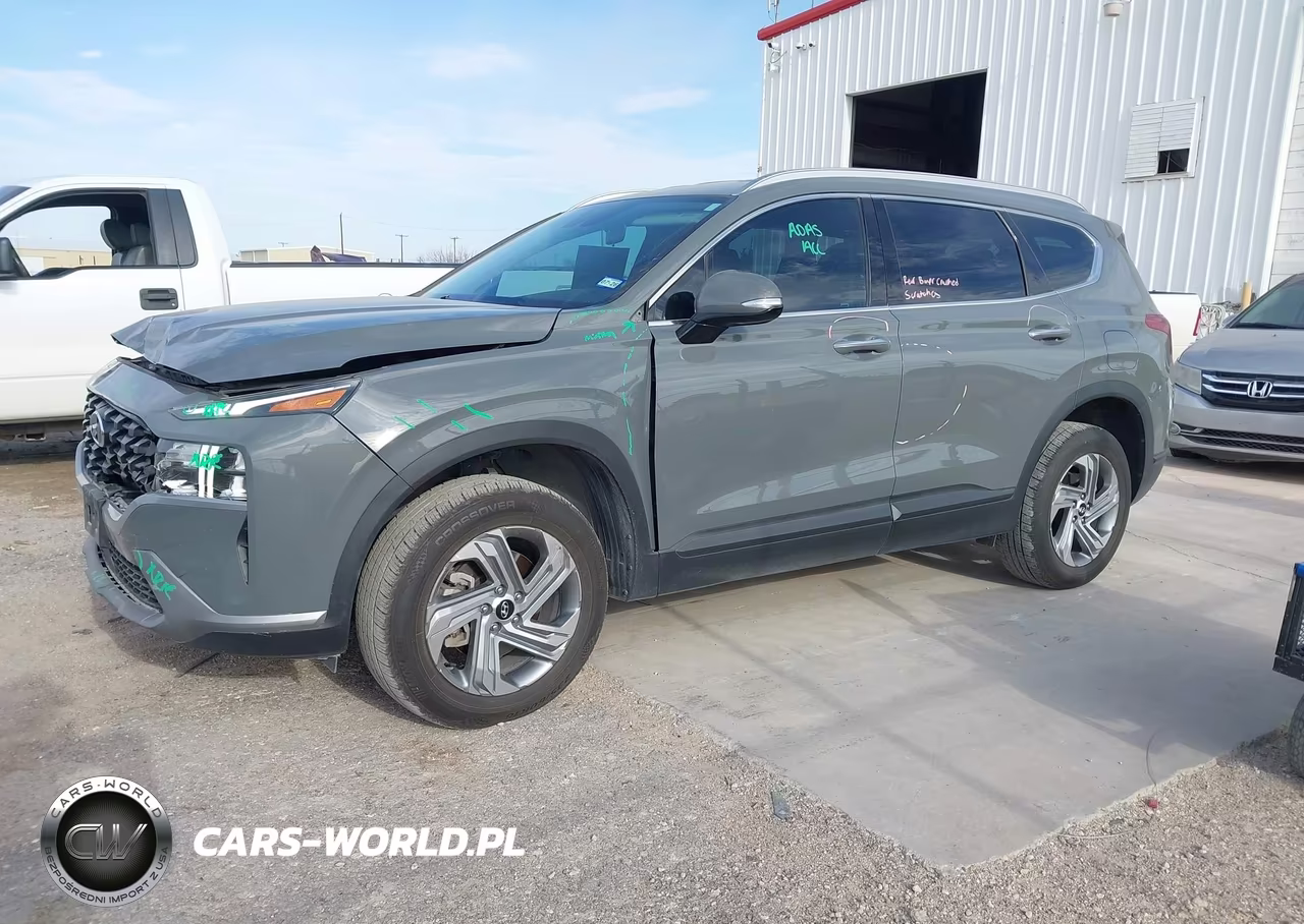 2023 Hyundai Santa Fe Sel VIN:5NMS2DAJ0PH494629 - 2