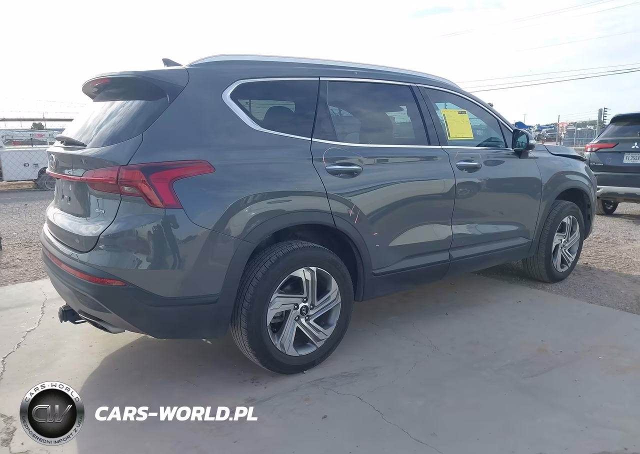 2023 Hyundai Santa Fe Sel VIN:5NMS2DAJ0PH494629 - 4