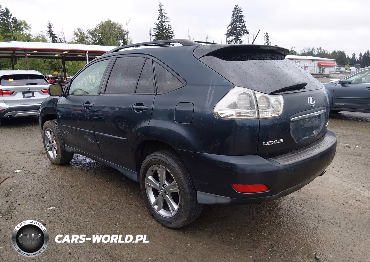 2006 Lexus Rx 400H VIN:JTJHW31U760028534 - 3