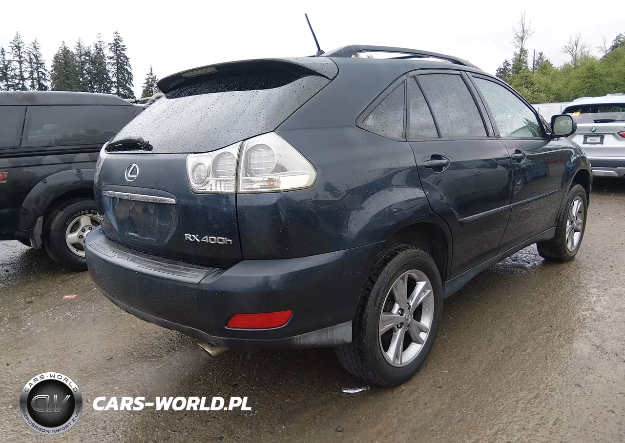 2006 Lexus Rx 400H VIN:JTJHW31U760028534 - 4