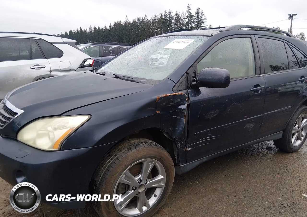 2006 Lexus Rx 400H VIN:JTJHW31U760028534 - 6