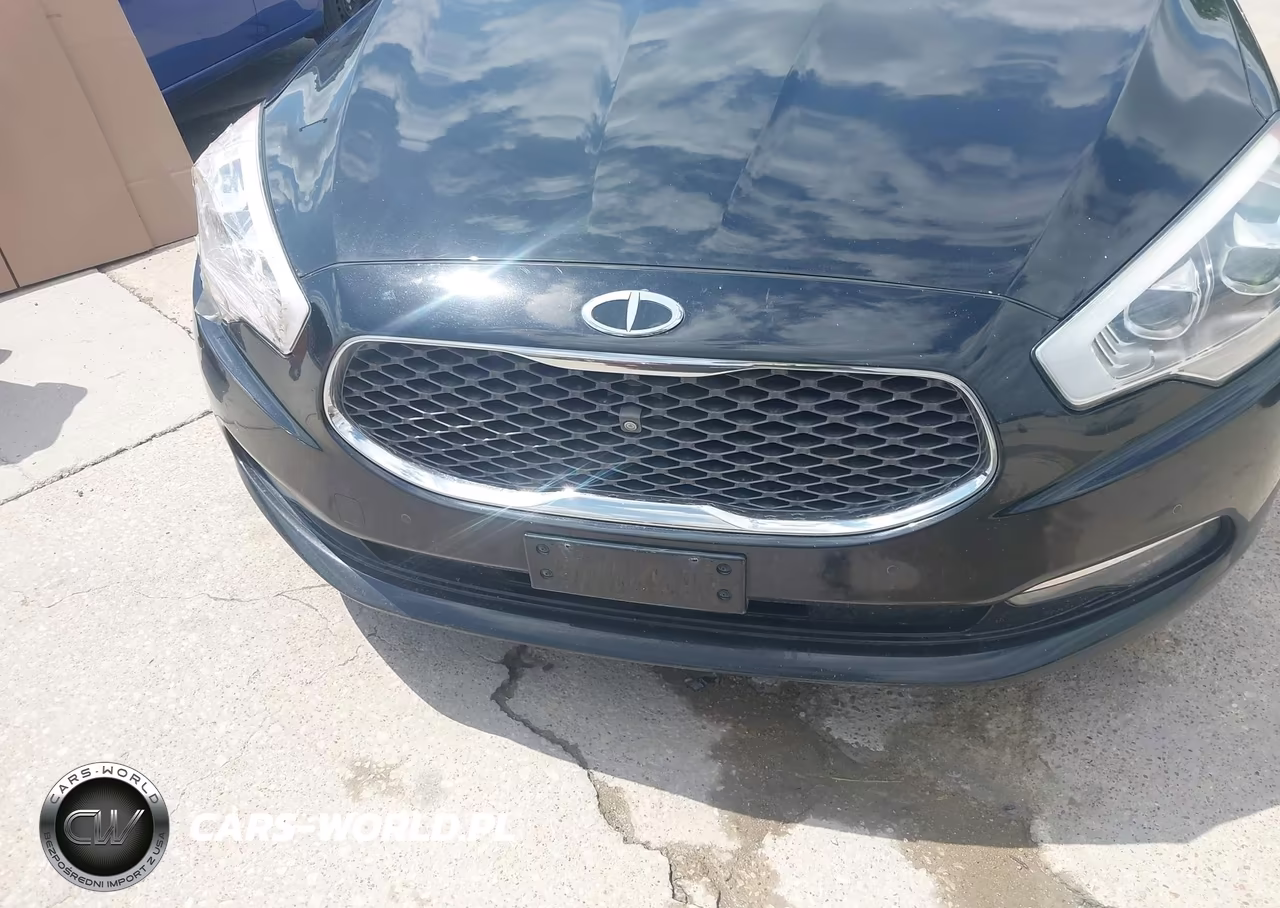2015 Kia K900 Premium VIN:KNALU4D46F6024506 - 6