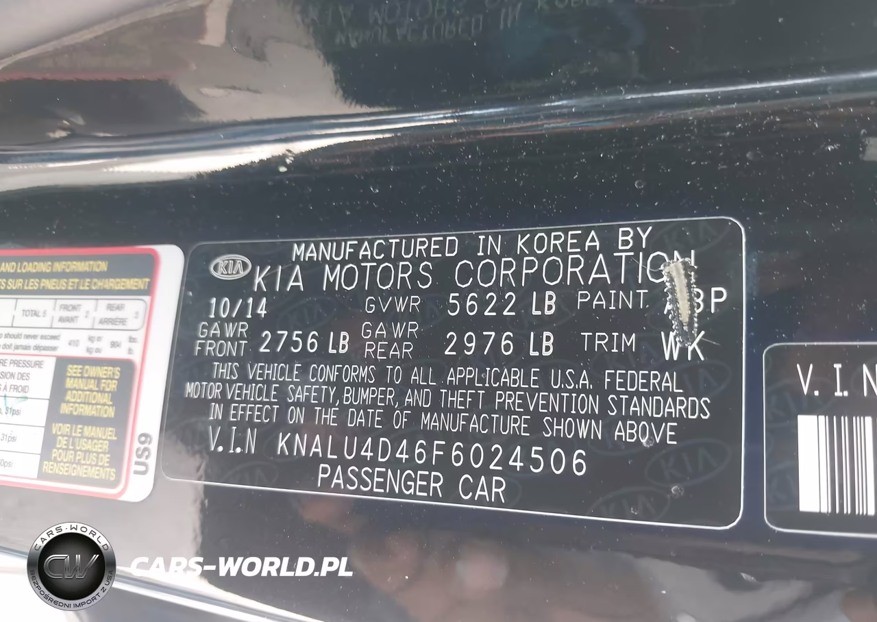 2015 Kia K900 Premium VIN:KNALU4D46F6024506 - 9