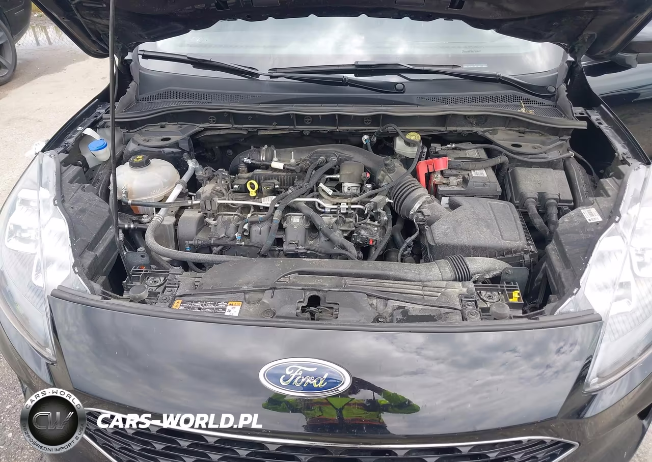 2020 Ford Escape Titanium VIN:1FMCU9J91LUA73681 - 10