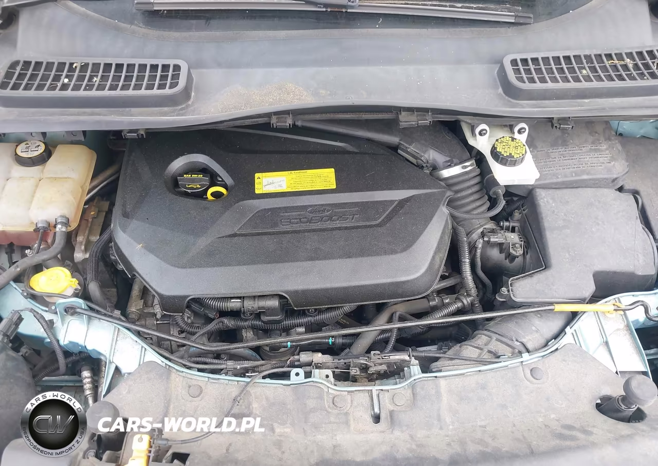 2013 Ford Escape Se VIN:1FMCU0GX1DUA39081 - 10