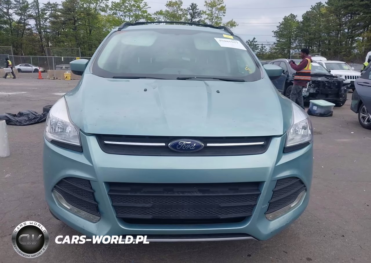 2013 Ford Escape Se VIN:1FMCU0GX1DUA39081 - 12